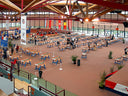 Official ITSF Bonzini 'Babyfoot' B90 (Competition table)